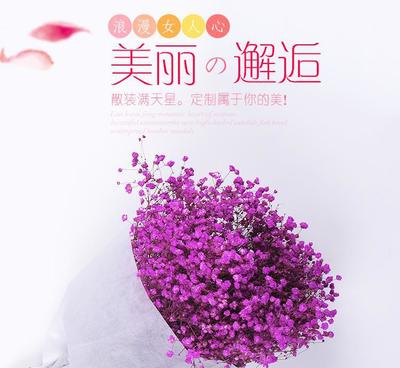 【云南干花批發(fā) 散裝滿天星花束 產(chǎn)地直銷純自然風(fēng)干花束永生花】?jī)r(jià)格_廠家_圖片 -