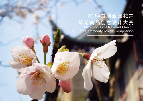 花卉旅游產(chǎn)品設(shè)計大賽