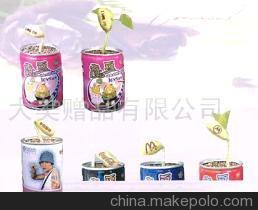 【寵物花卉,魔豆各地代理(圖)】價格,廠家,圖片,娛樂休閑產(chǎn)品代理加盟,大美禮品 -