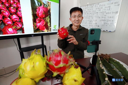 廣饒縣花官鎮(zhèn) 直播帶貨新模式 拓寬致富新路子