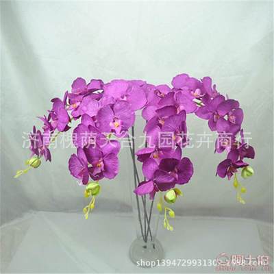【蝴蝶蘭真花裝飾花假花絹花批發(fā)仿真植物特價(jià)熱銷(xiāo)】濟(jì)南槐蔭天合九園花卉商行 - 產(chǎn)品庫(kù)